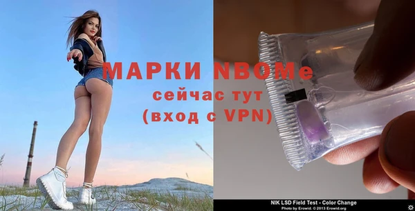 стафф Куйбышев