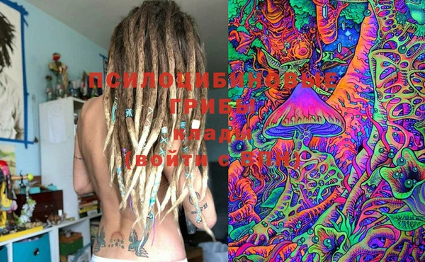 стафф Куйбышев