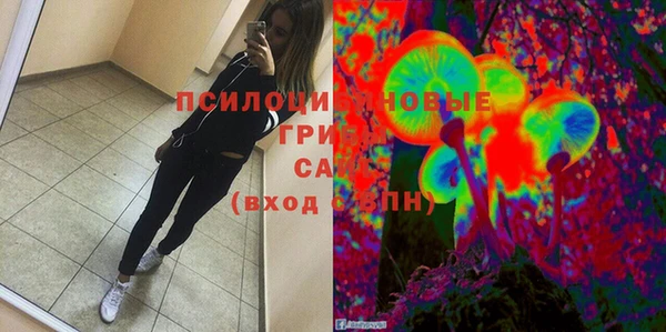 ПСИЛОЦИБИНОВЫЕ ГРИБЫ Лагань