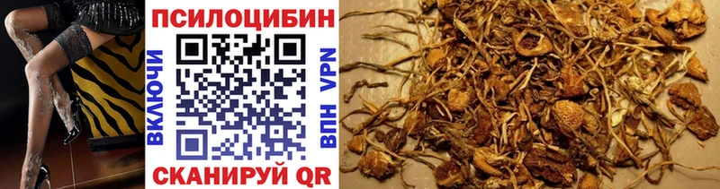 даркнет сайт  Медвежьегорск  Псилоцибиновые грибы Psilocybine cubensis 